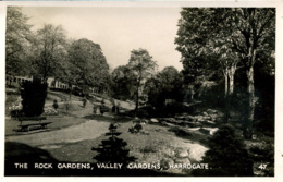 YORKS - HARROGATE -  THE ROCK GARDENS, VALLEY GARDENS RP  Y1075 - Harrogate