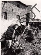 Sint-Martens-Voeren (Fouron-Saint-Martin) Molen/Moulin Foto E88 - Fourons - Voeren