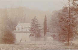 CARTE PHOTO / KNEBWORTH PARK  / THE LAKE / RARE - Hertfordshire