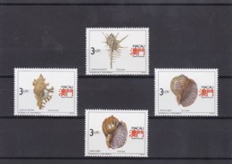 1991 - Conchas Da Região - Shells - MNH - Ungebraucht