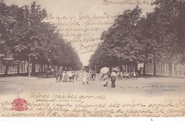 Brussel, Bruxelles, Avenue Louise (pk51443) - Avenues, Boulevards