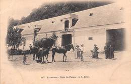 Pyrénées (65) - Cour De Ferme - Non Classés