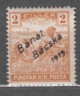 Hungary Banat Bacska 1919 Mi#6 Mint Hinged - Banat-Bacska