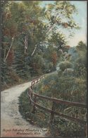 Bicycle Path Along Minnehaha Creek, Minneapolis, Minnesota, C.1905 - Hugh C Leighton U/B Postcard - Minneapolis