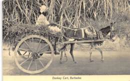 Barbados / 02 - Donkey Cart - Belle Oblitération - Barbados