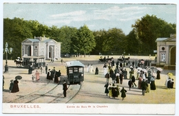 BELGIQUE : BRUXELLES - ENTREE DU BOIS DE LA CHAMBRE - TRAM - Nahverkehr, Oberirdisch