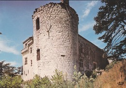 47---aux Environs D'AGEN--BON-ENCONTRE--le Château De Castelnoubel--voir 2 Scans - Bon Encontre