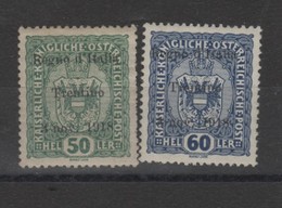 Italie - Trentin - Timbres D'.autriche  (1919 N°11/12 - Trentin
