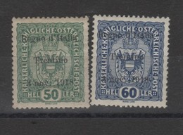 Italie - Trentin - Timbres D'.autriche  (1919 N°11/12 - Trentino