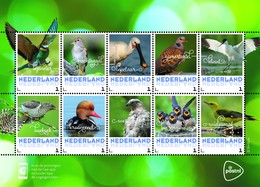 Nederland    Vogels  2 Birds  Oisseaux     Velletje/sheetlet Postsfris/neuf/mnh - Nuovi