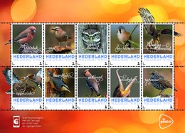 Nederland  2017  Vogels  3 Birds  Oisseaux     Velletje/sheetlet Postsfris/neuf/mnh - Ongebruikt