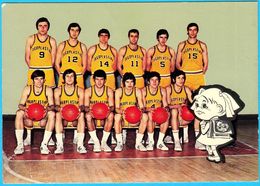 KK JUGOPLASTIKA SPLIT - Croatia Ex Yugoslavia Basketball Club Old Postcard 1970's * Basket-ball Pallacanestro Croazia - Basketball