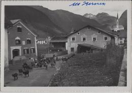 Dorfpartie Aus Alt Zernez - Ziegen, Chevres, Goat - Photo: R. Grass - Zernez