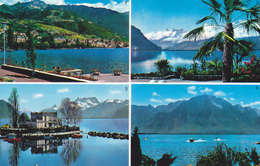 SUISSE,SWITZERLAND,SVIZZERA,SCHWEIZ,HELVETIA,SWISS,VAUD,TERRITET,MONTREUX,CLARENS - Montreux