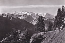 SUISSE,SWITZERLAND,SVIZZERA,HELVETIA,SWISS,SCHWEIZ,NIDWALD,STANSERHORN - Stans