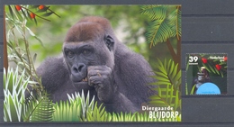 FG093 AAP GORILLA Bedreigde Dieren, Animals Near Extinction Blijdorp ZOO MONKEY PRIMATE NEDERLAND 2006 PF/MNH + POSTCARD - Gorilles