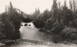 Hautes-pyrénées : TOURNAY : Bords De L'arros ( Cpsm Photo Vérit. ) - Tournay