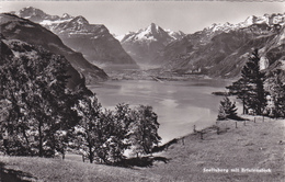 SUISSE,SWITZERLAND,SVIZZERA,HELVETIA,SWISS,SCHWEIZ,URI,SEELISBERG - Seelisberg