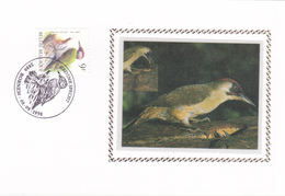 Carte  Sur Soie/op Zijde FDC- Oiseaux De BUZIN - Timbre N°2778 - 1985-.. Uccelli (Buzin)