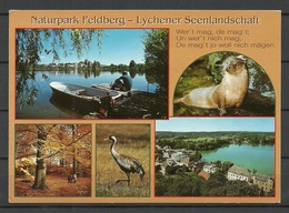 Deutschland Naturpark FELDBERG - Lychener Seenlandschaft Sent 1999 With Stamp - Feldberg