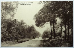 ROUTE DE CORBEIL - FORÊT DE SÉNART - Sénart