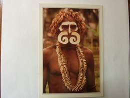 Nouvelle Guinée - Guerrier Asmat - Collections