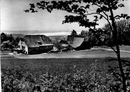 (82) CPSM  Oeuvre Suisse D'entraide Ouvriere Maison Vacance Champfahy  Poste Lignieres   (Bon Etat ) - Lignières