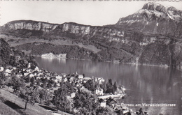 SUISSE,SWITZERLAND,SVIZZERA,HELVETIA,SWISS,SCHWEIZ ,SCHWYZ,GERSAU,CARTE PHOTO - Gersau