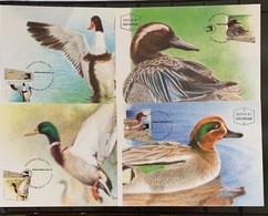 ISRAEL 1989 SET OF 4 FIRST DAY OF ISSUE WITH TABS ON POST CARDS DUCKS HOLY LAND MAXIMUM CARDS 20010-1 - Usati (con Tab)