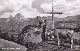 SUISSE,SCHWEIZ,SVIZZERA,SWITZERLAND,SWISS ,SCHWYTZ,SCHWYZ,STOOS,BERGER,VACHE,CROIX - Schwytz