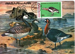 ROMANIA  Geese, MC   /  ROUMANIE  L`oie, Carte Maximume,  1988 - Ganzen