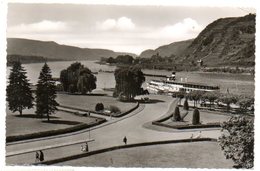 Allemagne / ANDERNACH Am Rhein - Rheinanlagen. - Andernach