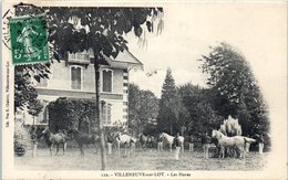 47 - VILLENEUVE Sur LOT -- Les Haras - Tournon D'Agenais