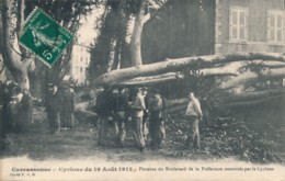 N68 - 11 - CARCASSONNE - Aude - Cyclone Du 19 Août 1912 - Platanes Du Boulevard De La Préfecture Renversés Par Le... - Carcassonne