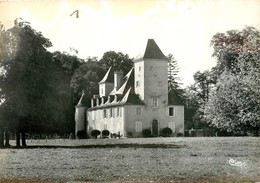 CPSM Lembeye-Château De Corbières                                                          L2726 - Lembeye