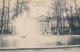 CPA - Belgique - Bruxelles - Brussels - Le Parc Et Le Palais De La Nation - Parks, Gärten