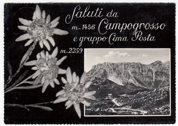 SALUTI DA CAMPOGROSSO E GRUPPO CIMA COSTA - VICENZA - 1952 - Vedi Retro - Vicenza