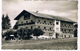 Ö-3776   EHRWALD : Hotel - Pension Alpenhof - Ehrwald