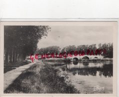 77- BRAY SUR SEINE - LES PROMENADES AUX BORDS DE LA SEINE - CARTE PHOTO - Other & Unclassified