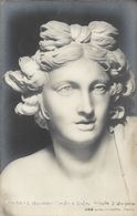 Sculpture - Roma, Lorenzo Bernini Le Bernin: Apollo Apollon E Dafné (dettaglio, Détail) - Carte Non Circulée - Sculture