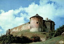 65 MAULEON  LA FORTERESSE  AU FAITE DE LA COLLINE - Mauleon Barousse