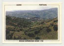 DOURO - Aspeto Das Vinhas  (2 Scans) - Vila Real
