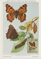 Saint Marin Carte Maximum 1963 Papillons 601 - Lettres & Documents