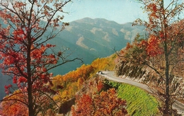 Great Smoky Mountains (Tennessee, USA) National Park, An Autumn Scene, Vue, Ansicht, Scorcio Panoramico Autunnale - Smokey Mountains