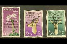 SOMALIA - Somalia (1960-...)