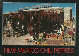 Albuquerque (New Mexico, USA) Chili Peppers - Albuquerque