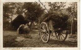 1914 - Noord Brabant - Dorpsleven - Vie De Village - Autres & Non Classés