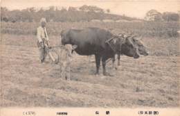 Corée - Korea  / 31 - Farming - Beau Cliché - Corée Du Sud