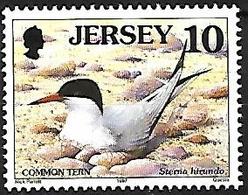 Jersey - 1997 - MNH - Common Tern (Sterna Hirundo - Seagulls