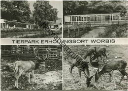 Worbis - Tierpark - Foto-AK Grossformat - Verlag Bild Und Heimat Reichenbach - Worbis